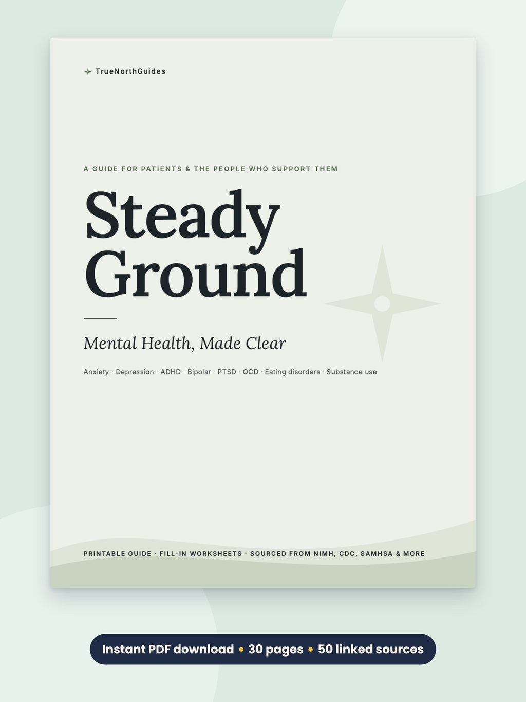 Steady Ground mental health guide cover